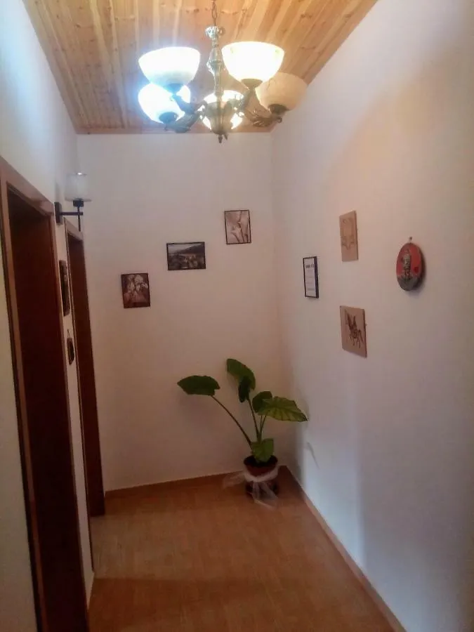 Nako Guest House Bar&Restaurants Përmet ألبانيا